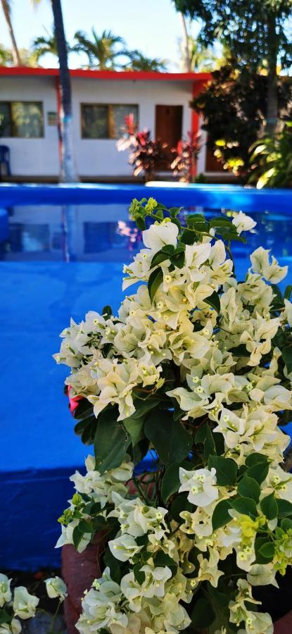 Hotel Oasis Melaque Сан Патрисио Мелаке Екстериор снимка